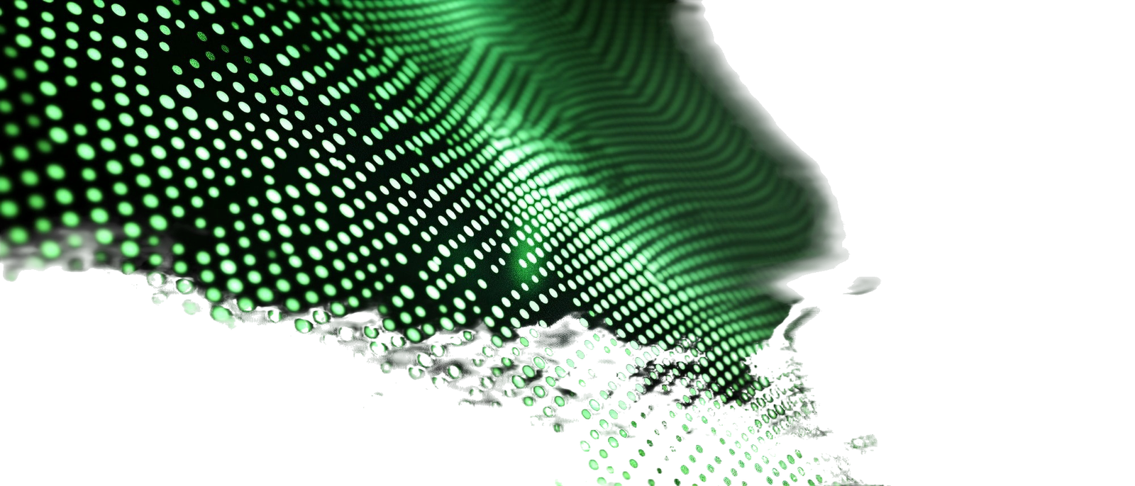 Certified AI GreenTech Expert (CAIGTE)