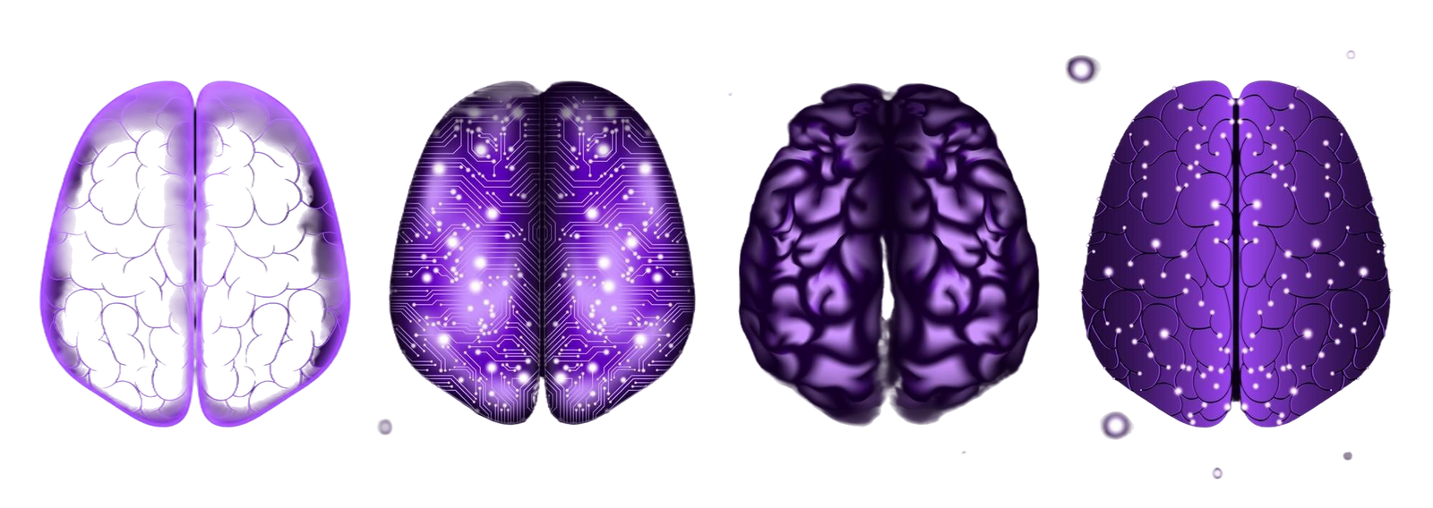 Certified AI Neuromorphic Systems Engineer (CAINSE)