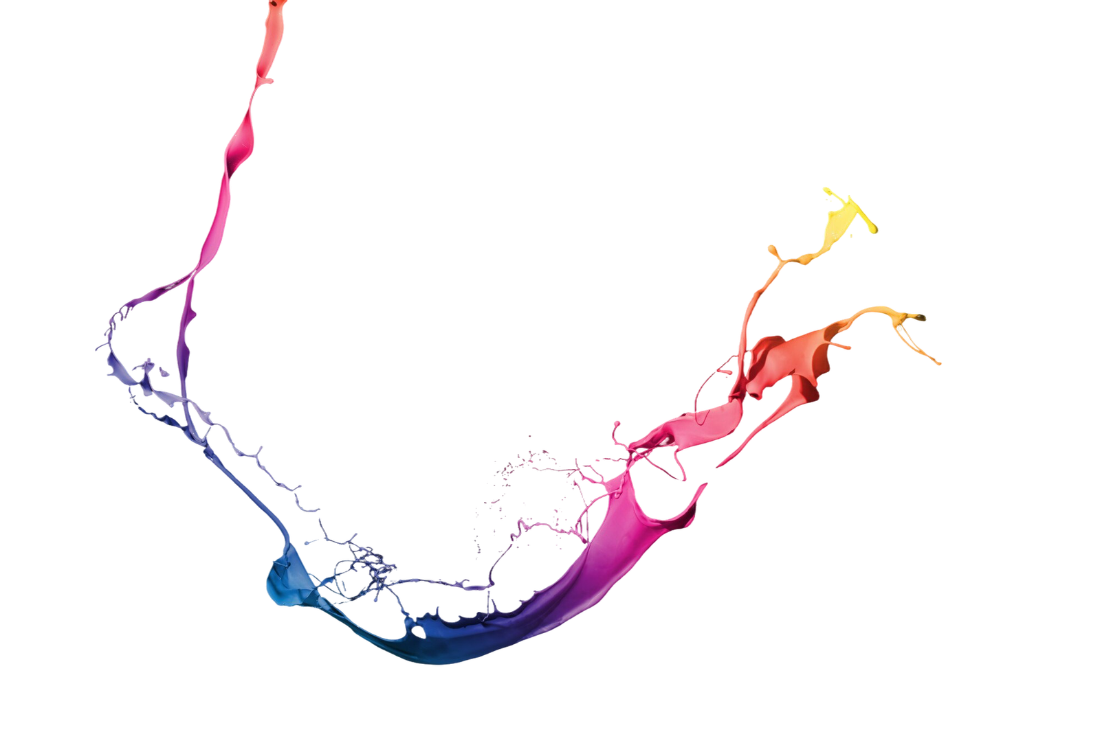 Certified AI & Painting Business Innovator (CAIPBI)