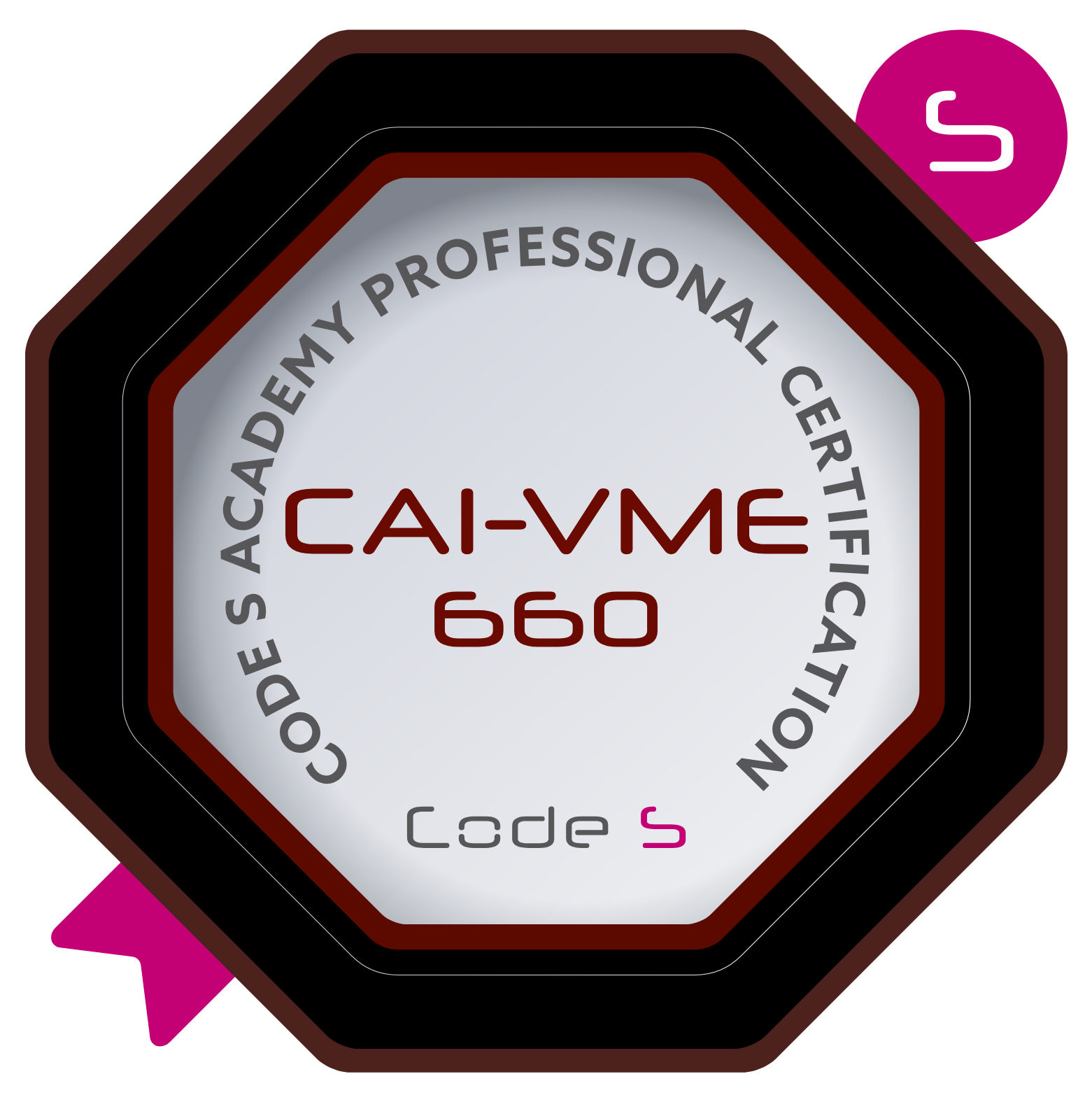 Certified AI Vulnerability Management Expert CAI-VME-660