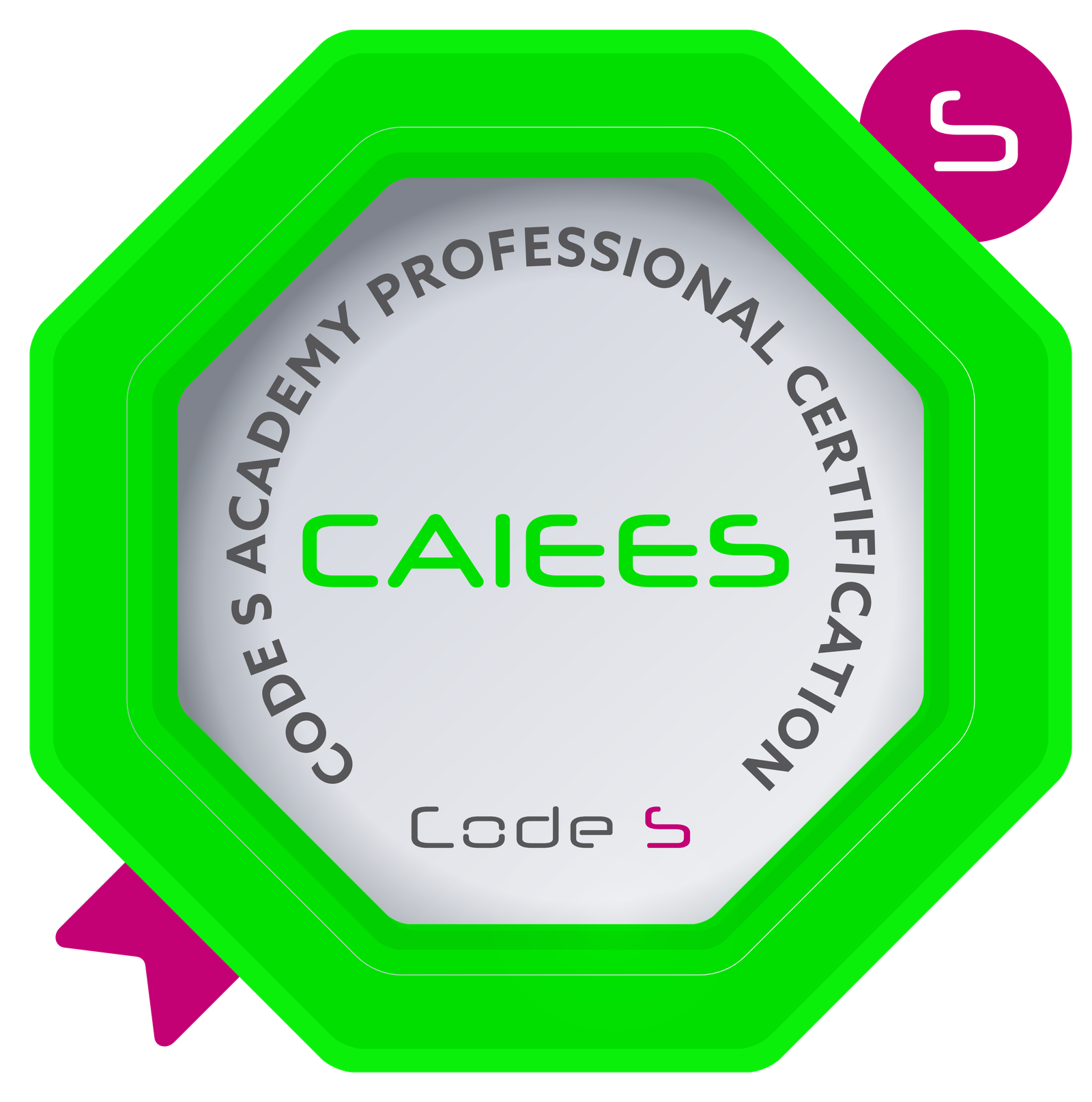 Certified AI & Environmental Engineering Specialist (CAIEES)