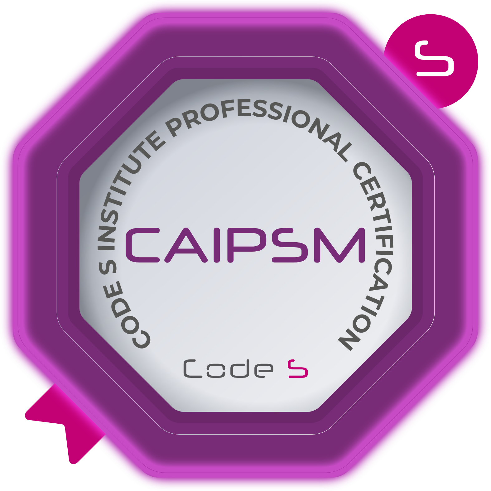 Certified AI Physics Simulation Master (CAIPSM)